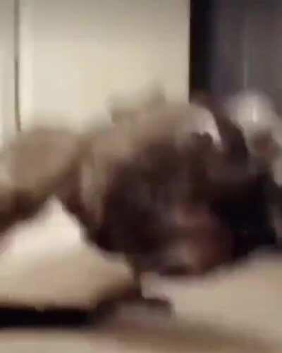 don't let your dog do drugs