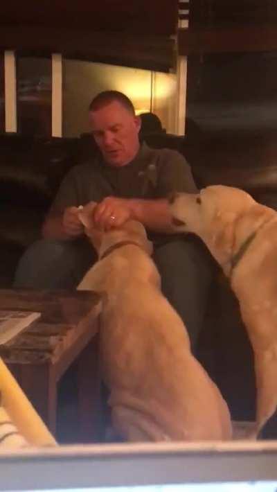 One dog has ear medicine she needs and the other one also thinks he needs it too