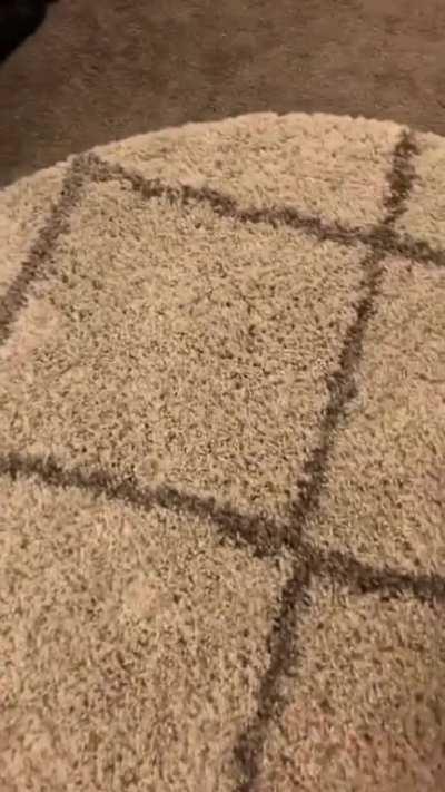 Burn the entire house