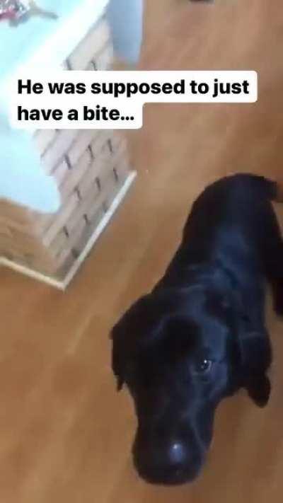 Gotta get your own burger now