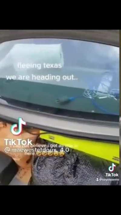 The reality of Trans political refugees