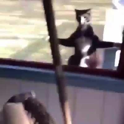 My all time favourite gif. Sorry if it's a repost