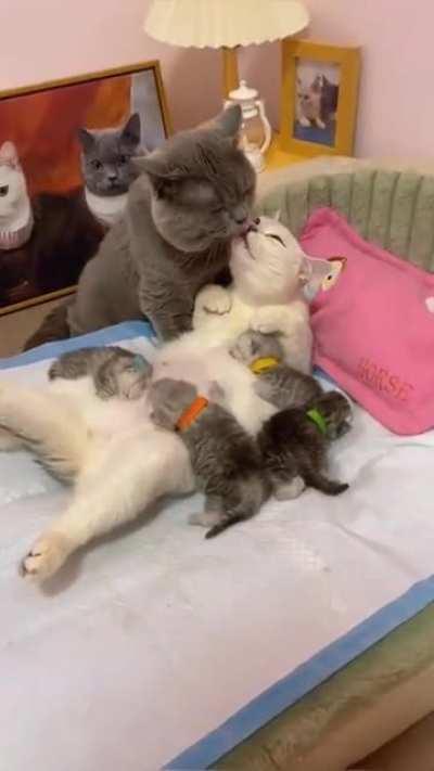 what a supportive father