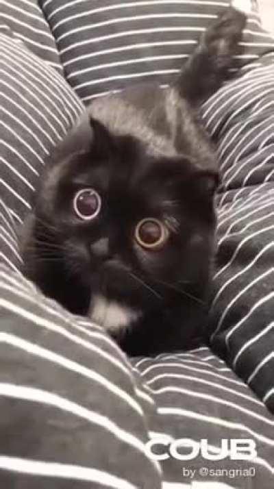 Some eye bleach for Jeannie