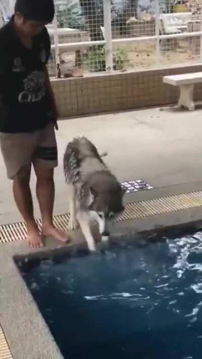 Arguing before enjoying a swim.