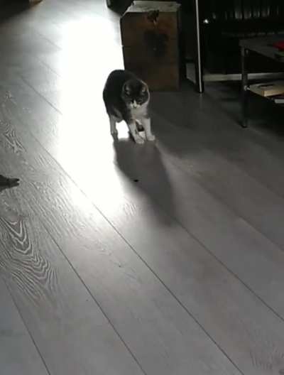 Spidey senses are tingling