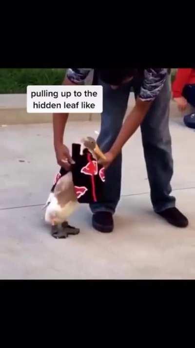 The aquacktsuki is now assembled