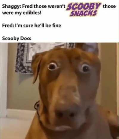 Thats how Scoob started talking