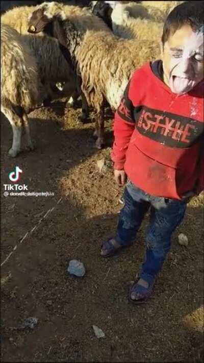 Me when I find the imposter