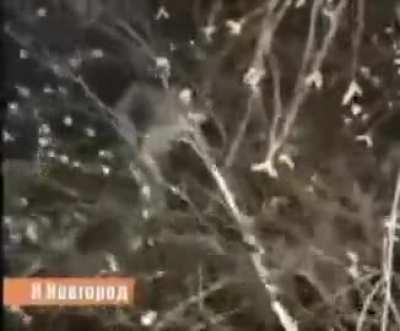 Fuck the neighbour downstairs