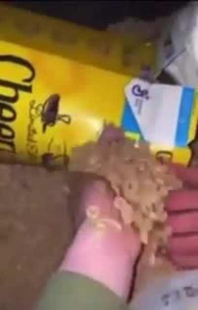 Cheerios