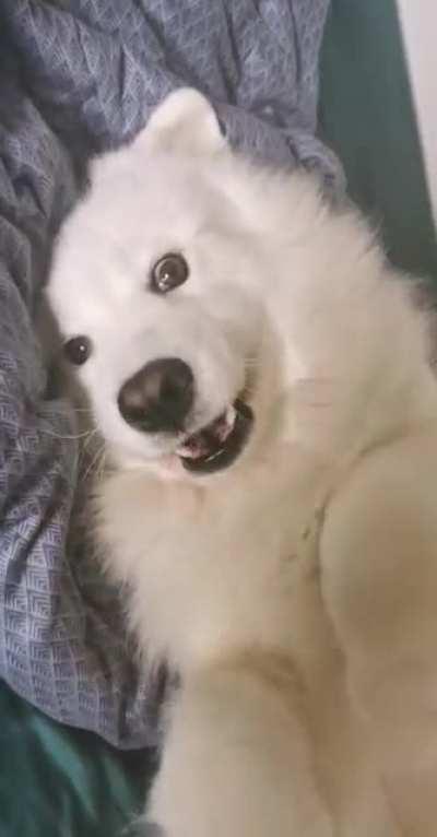 Someone is being extra silly today 🥰 (apologies for the maniac giggling)