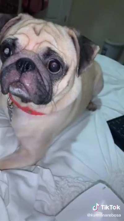 Finally someone understands