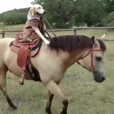The Real Cowboy Goodboy