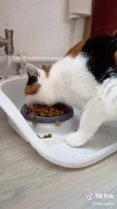 Someone’s throwing up later