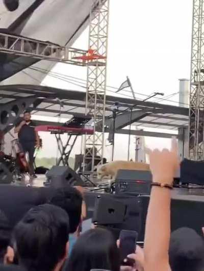 He is the main character