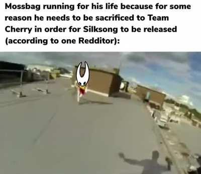 We need to capture Mossbag