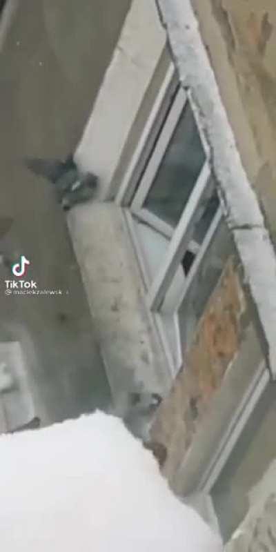 muca indo testar a piada😏