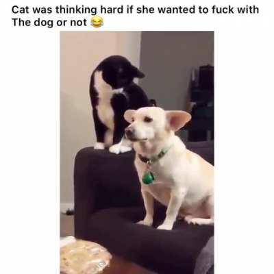 nINJa ASSAsSiN fallS to hiS dOoM aFTER unsuCCesSfUl SteAlTH atTAck