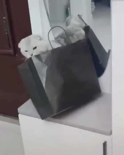 Complete and utter chaos