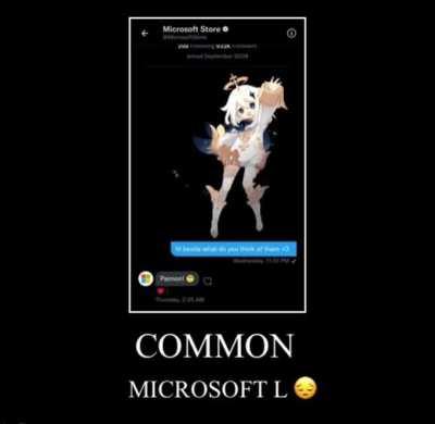 Common Microsoft L 😔