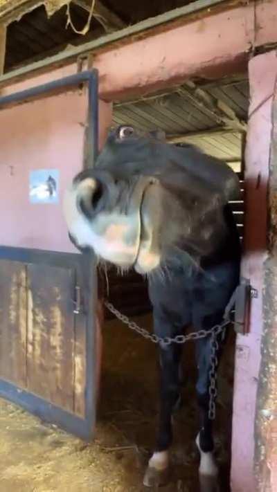 что за таблетку вы мне дали? а есть еще?