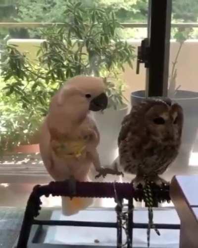 Как сейчас соблюдают дистанцию