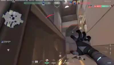 what are you faaking doing?!