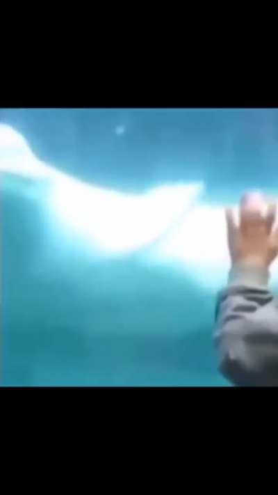 Her sabah newe post #21