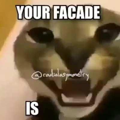 floppa rules everything