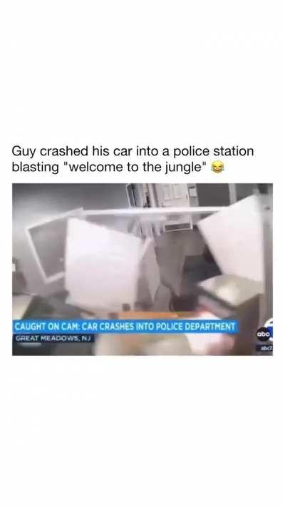 welcome to the jungle