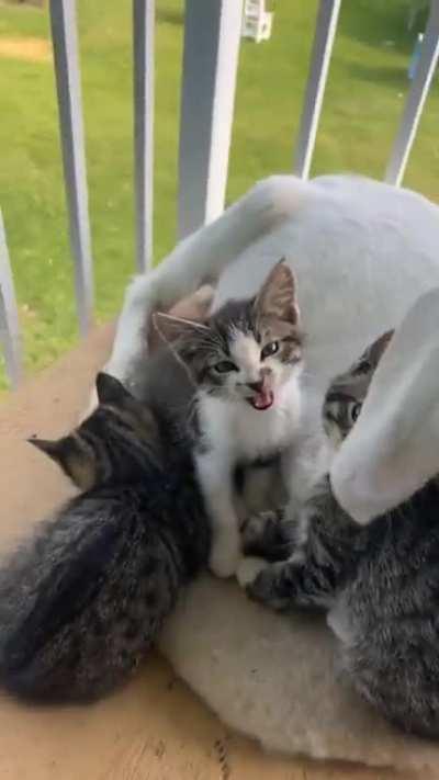 Sometimes little things occupy the biggest part of their hearts.