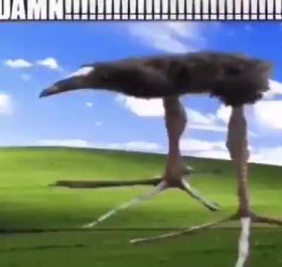 Me when I see Hope design in chapter 6