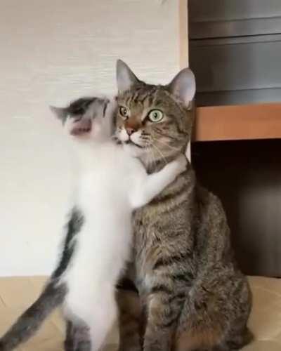 Calculating how to reverse pregnancy