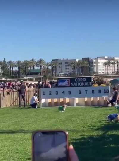 A nail biting watch from start to finish!