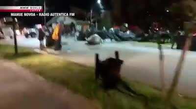 An elephant seal was found roaming on the streets of Puerto Cisnes, Chile. Residents worked together to guide it to the sea