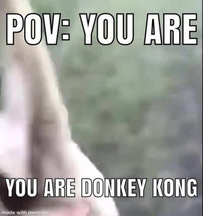 Smash bro’s meme I just made