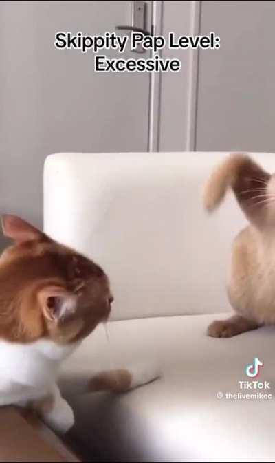 To get hit repeatedly without hitting back