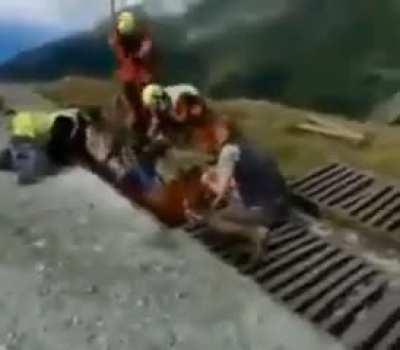 What the Horse doin'?