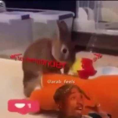 Haram squirrel💯💯😠😠😠0⃣0⃣0⃣💀💀💀💀😱😱الله أكبرالله أكبرالله أكبر💀💀💀💯💯💯😵😵😵😊😡😡😡😄💯💯💀💀💀💩💩😬😬😰😰😱