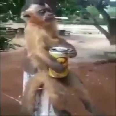 smurfdomuca - Video #9249