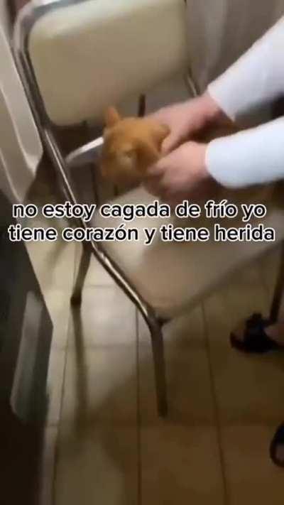 Las abuelas son lo mejor que le pasó al mundo