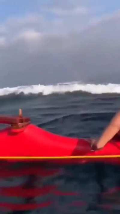 Rare footage of a whale leaping out of the water