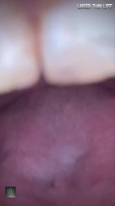 Getting digested by Giantess Love! 🤯