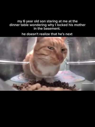 That's not my wife, and that's not my son. Skinwalkers...both of them.