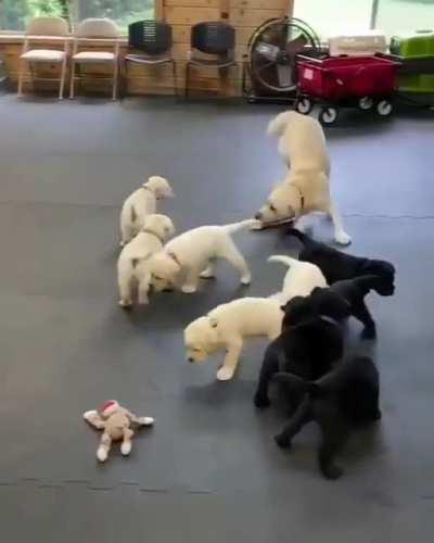 Momma is happy here kids are big enough to play