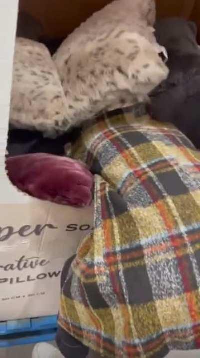 WCGW Sending your baby to Narnia for some likes