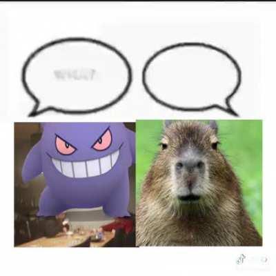 Discordmemes - Video #4961