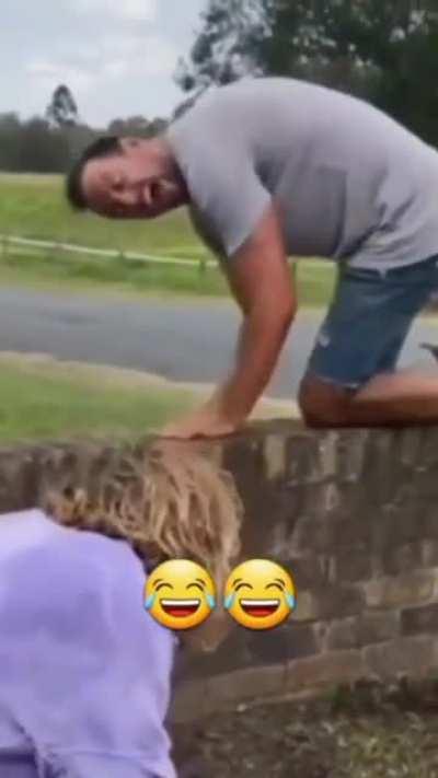 My neighborhood cats at it again