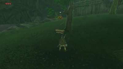 [BoTW]Almost 600+ hours into the game and I just found out now that this was possible.